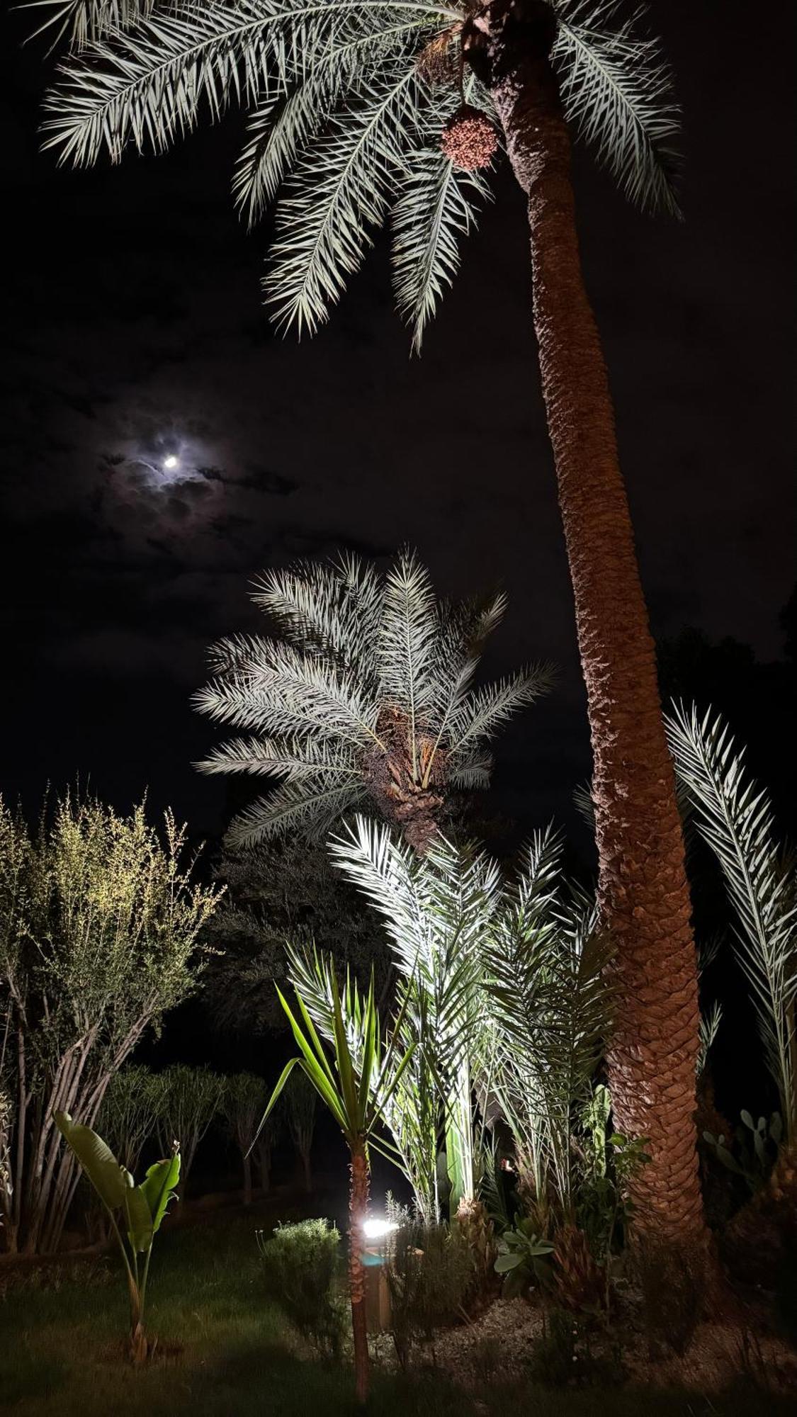Tres Joli Appart A La Palmeraie Coup De Coeur Marrakesh Exterior photo